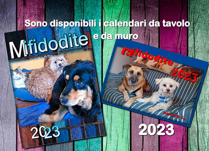 Calendario 2023