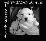 Mi fido di te